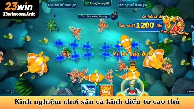 Kinh nghiệm chơi săn cá kinh điển từ cao thủ